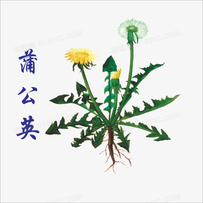 草药