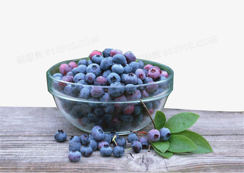 蓝莓png图片素材