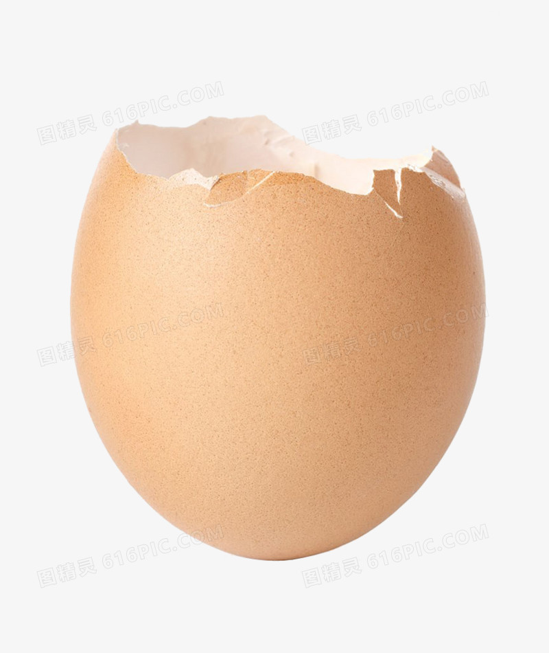 蛋壳免抠素材