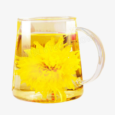 玻璃壶中的贡菊