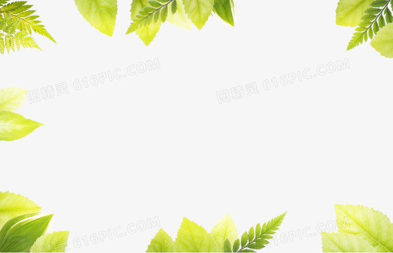 手绘绿色环保树叶边框