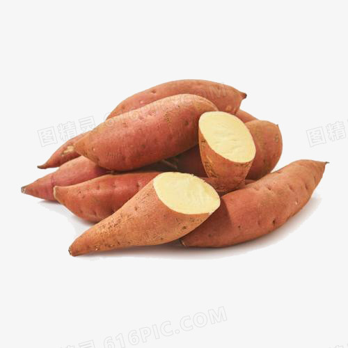 农作物红薯