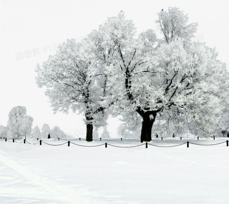 冬季雪景