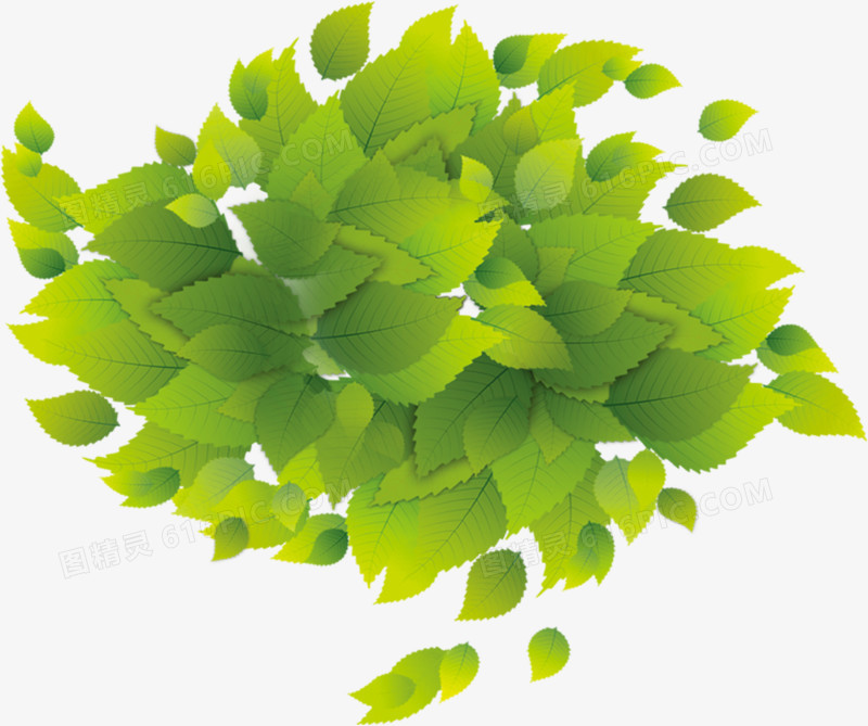 创意手绘质感绿色的树叶边框设计