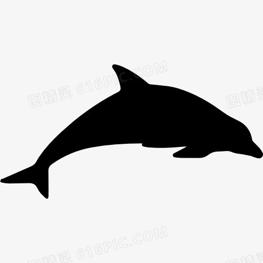 海豚动物剪影图标