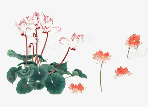 手绘中国风花朵