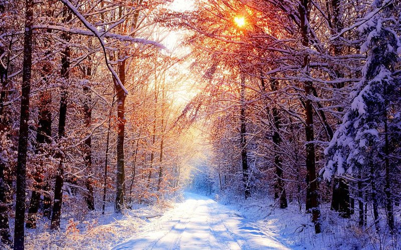 阳光照射下的雪景