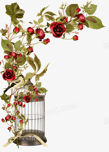 红玫瑰和鸟笼免扣素材