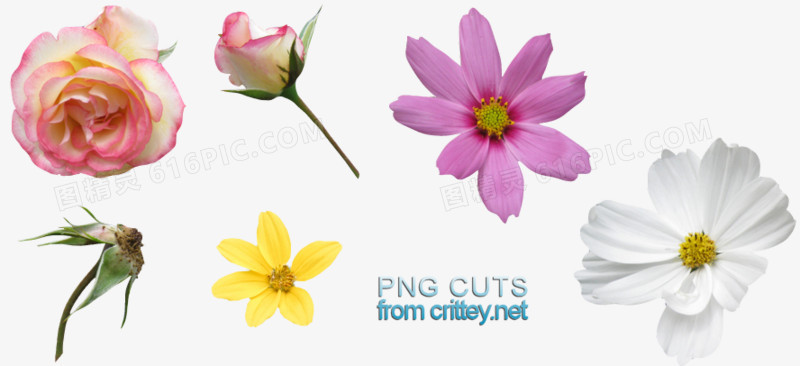 可爱多种花瓣装扮