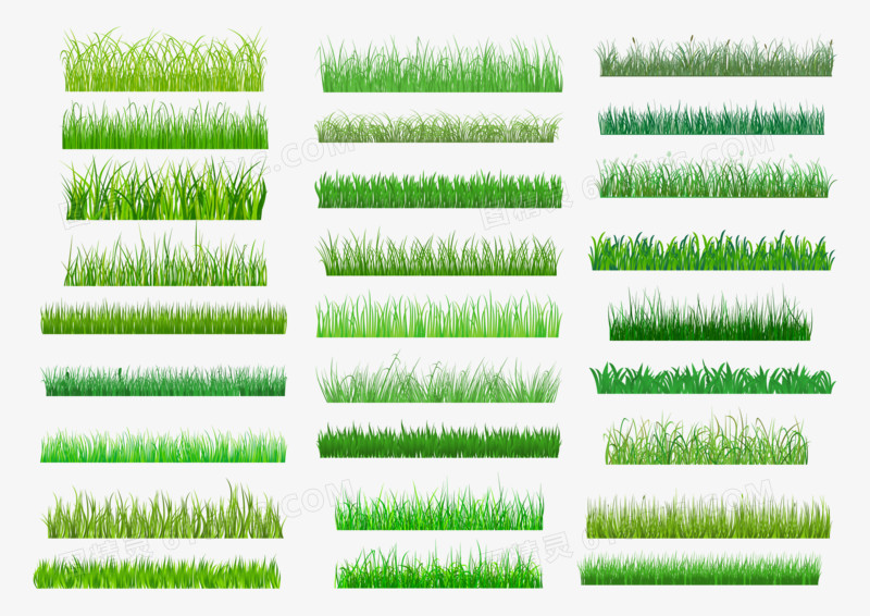 各种草的样式