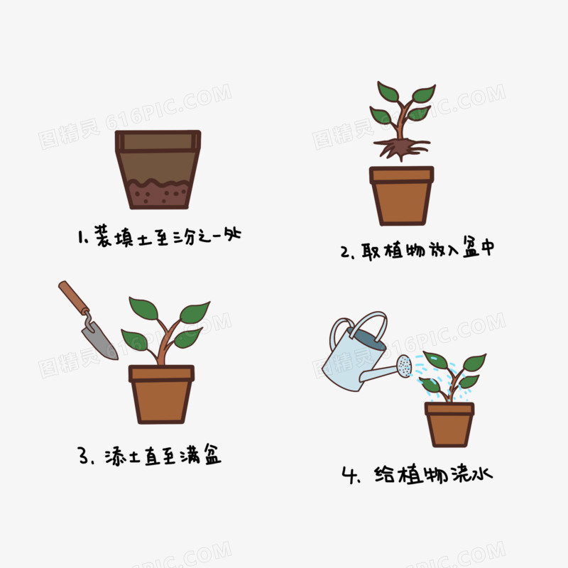 植树的5个步骤排序图片