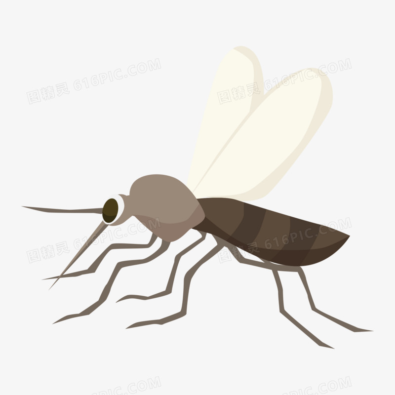卡通矢量害虫昆虫类蚊子素材