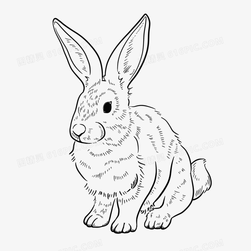 手绘黑色线描兔子形象元素