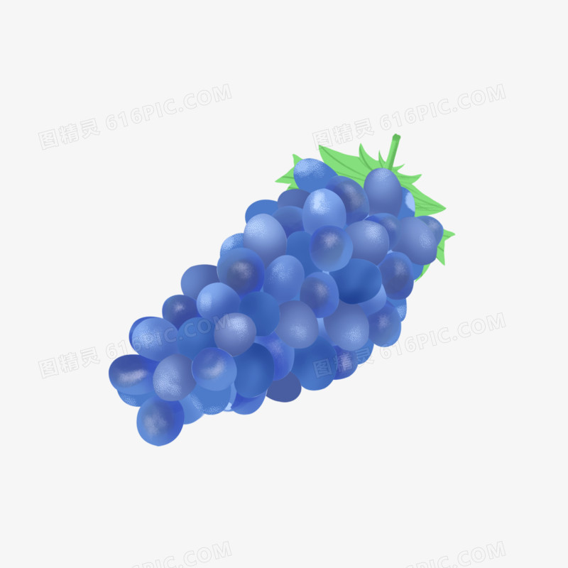 一组手绘写实水果合集免抠之葡萄素材