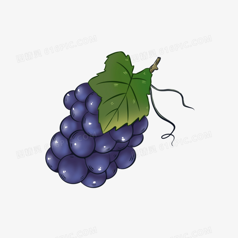 一组卡通水彩风水果合集之葡萄免抠元素