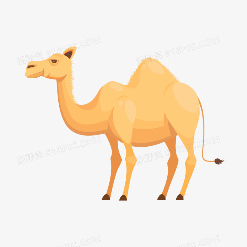 矢量卡通骆驼免抠素材