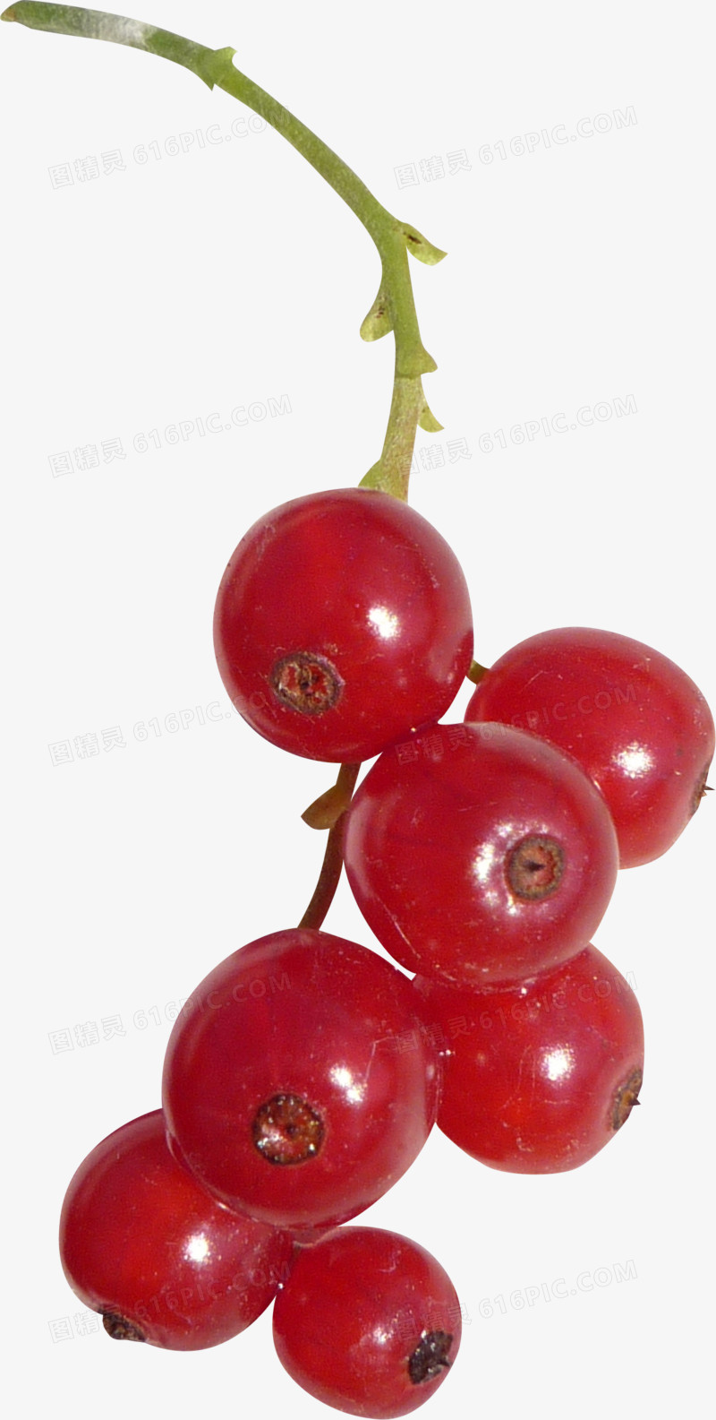 3d水果图案手绘素材 精美红色葡萄
