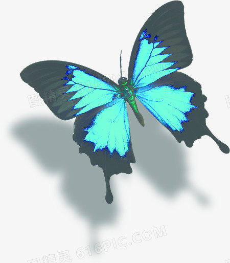 蓝色绚丽设计蝴蝶手绘