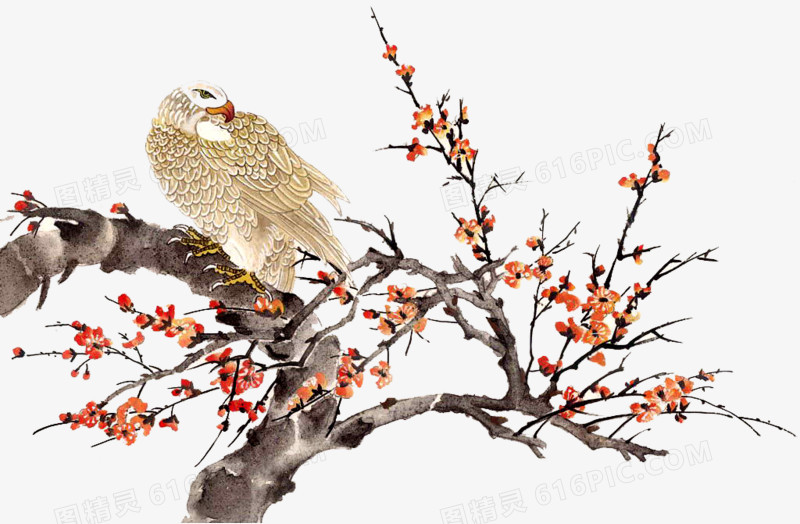 中国花鸟画鹰
