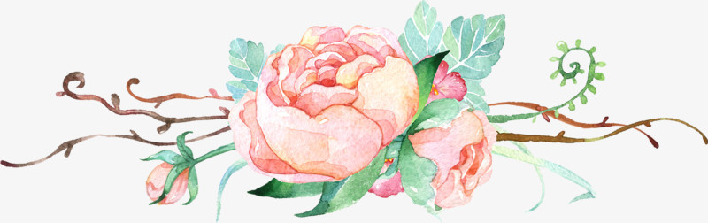 水彩花卉花边