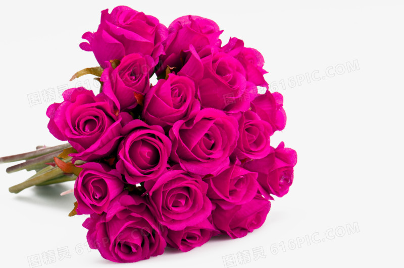 情人节紫玫瑰爱情