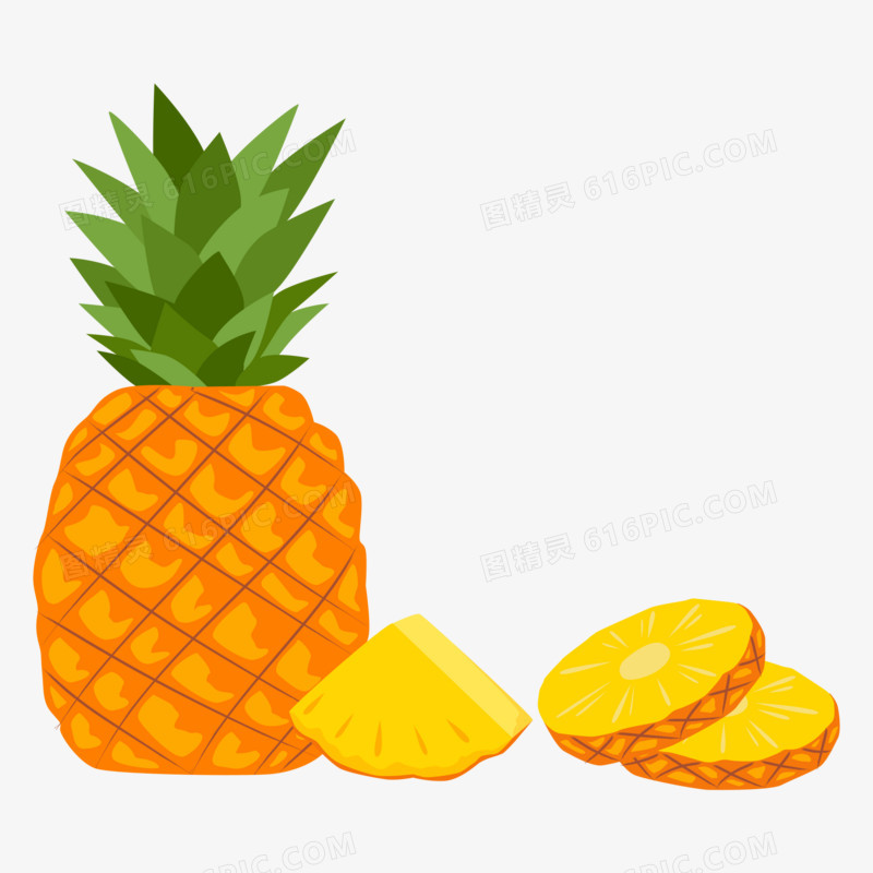 手绘矢量菠萝夏季热带水果素材