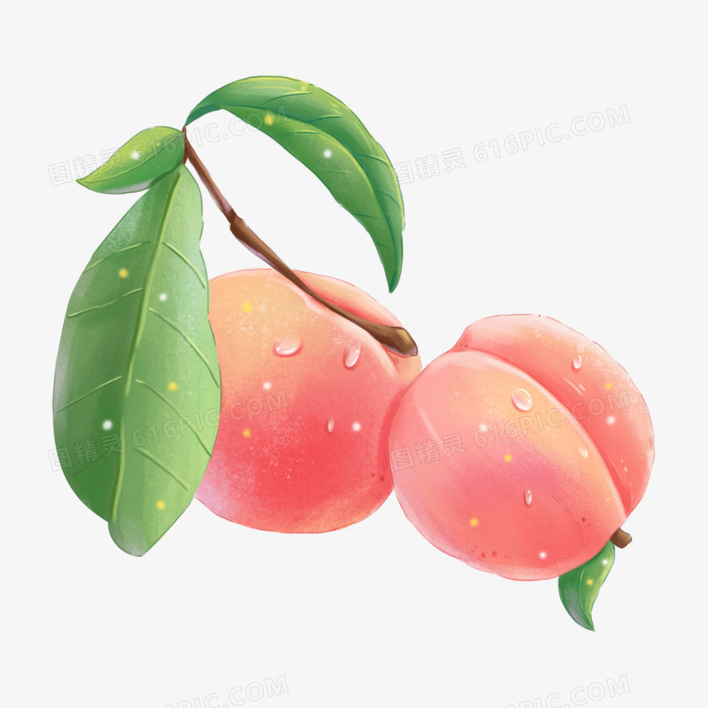 手绘水果桃子免抠元素