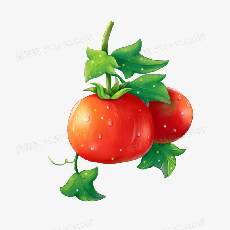 手绘写实西红柿水果元素