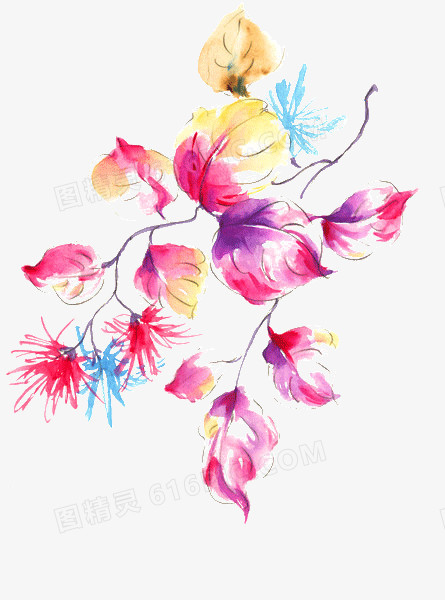 花卉