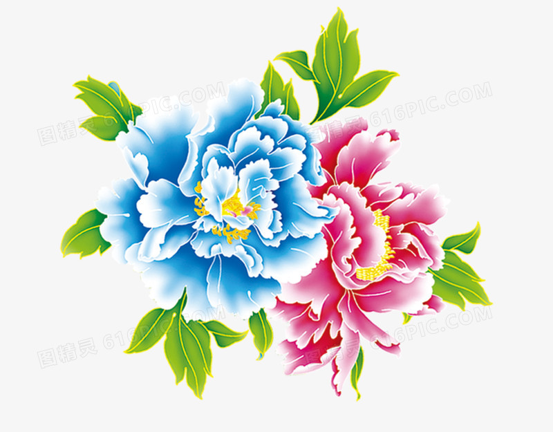 国画牡丹