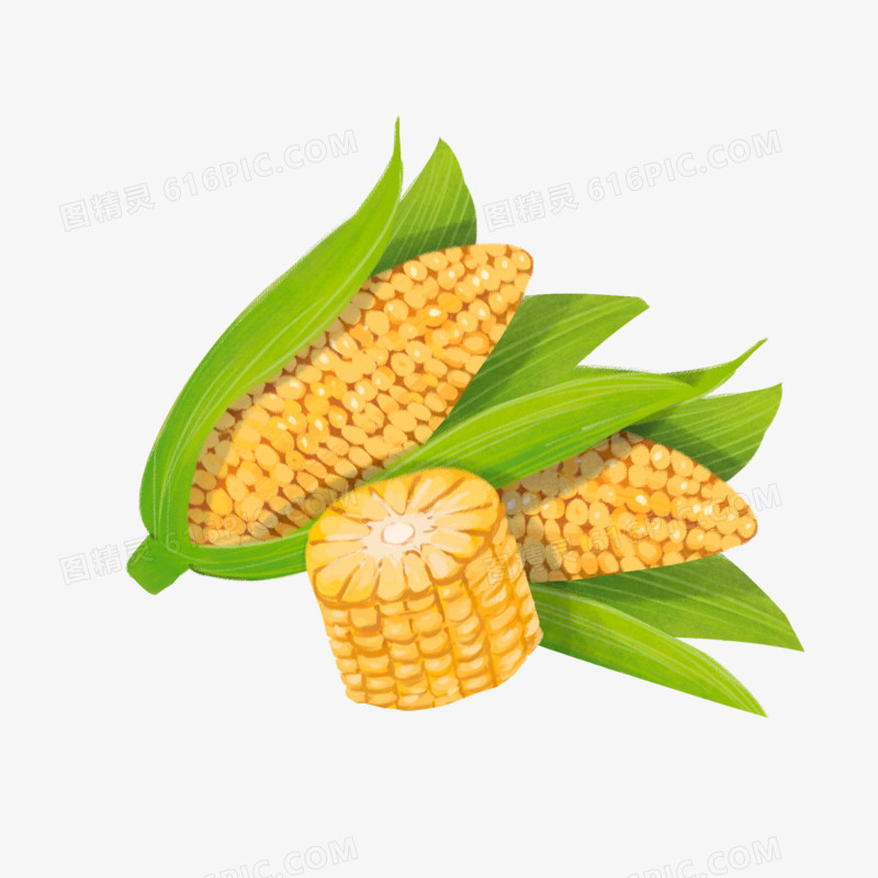 手绘插画风五谷杂粮之玉米免抠元素