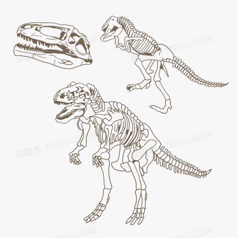 手绘线稿恐龙骨骼恐龙化石元素