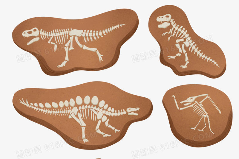 一组恐龙骨骼化石合集元素