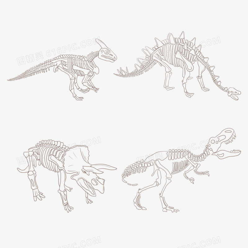 一组恐龙骨骼免抠元素