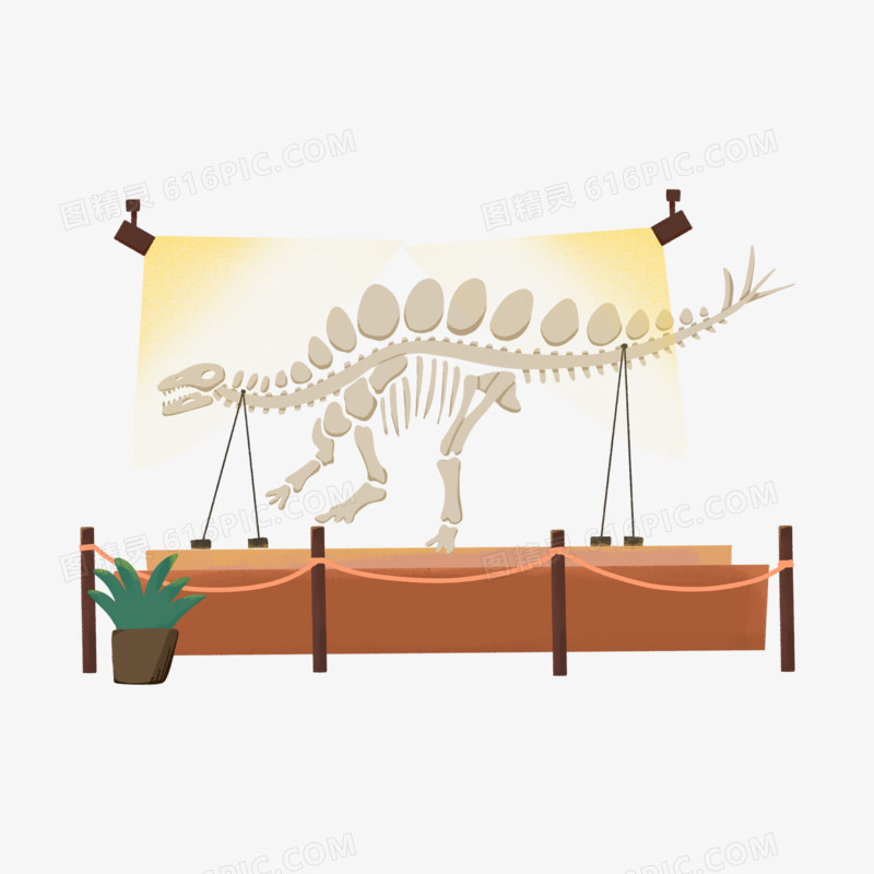 卡通手绘免抠博物馆的恐龙的化石素材