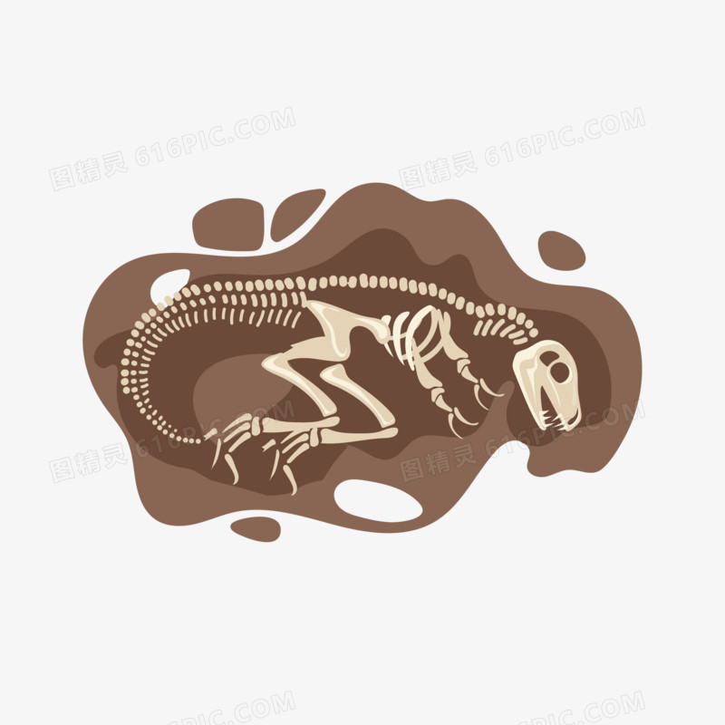 一组卡通矢量恐龙骨骼化石系列四素材