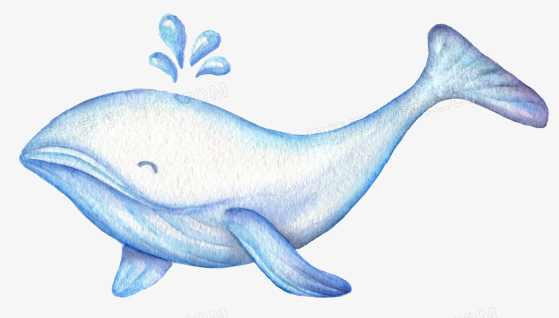 清新森系水彩可爱鲸鱼