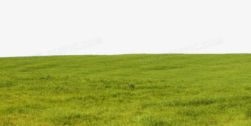 夏日草地风景图片六