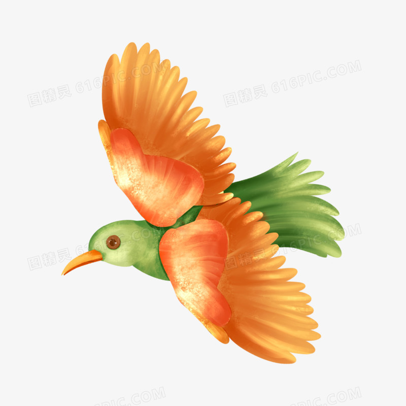 手绘插画风彩色的小鸟免抠元素