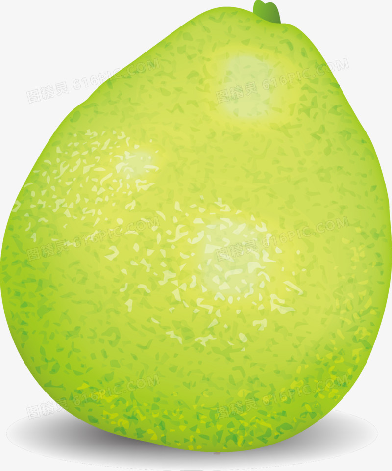 绿色柚子矢量图