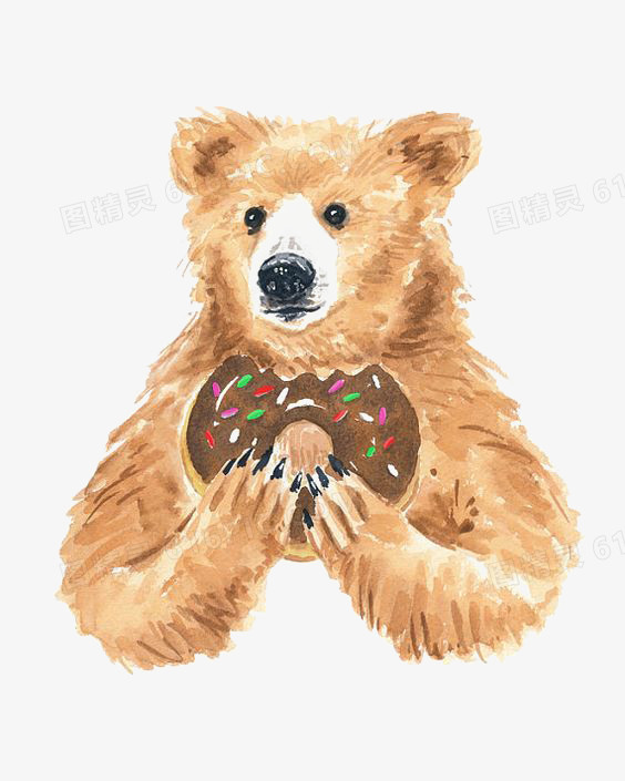 吃甜甜圈的熊