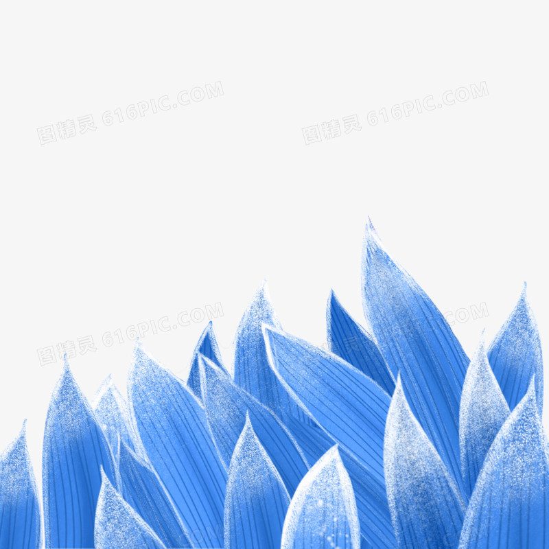 手绘插画风冷色调树叶免抠元素