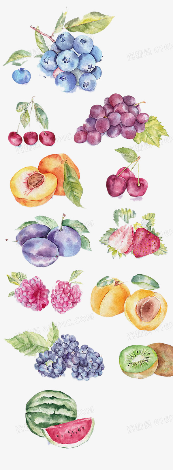 水果插画