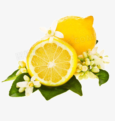 柠檬花
