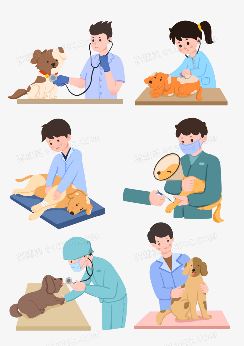 一组宠物医生给小狗宠物看病合集素材