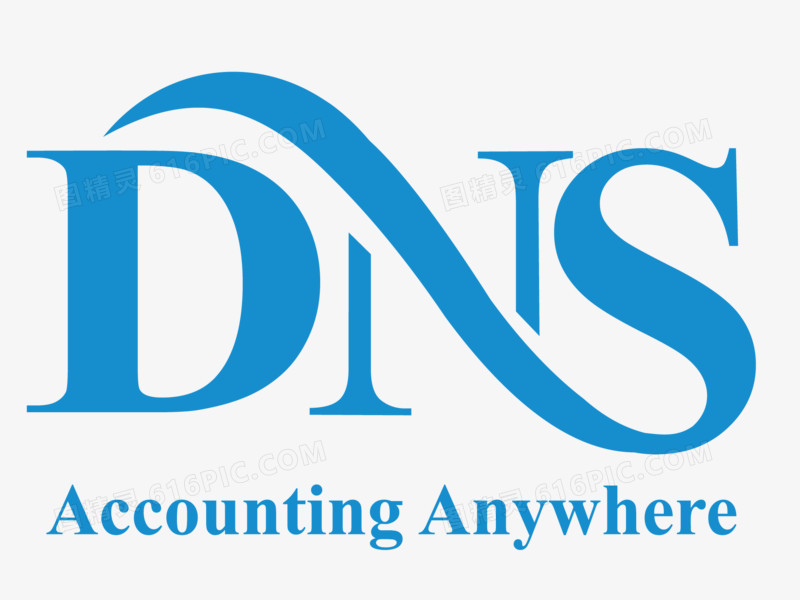 DNS的logo