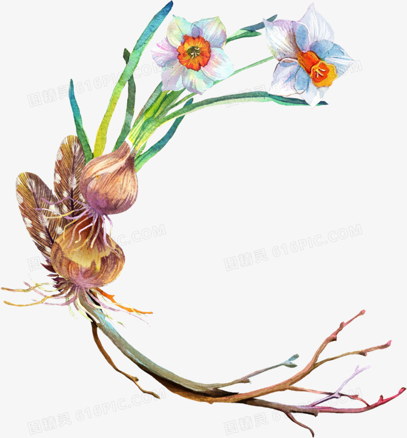 花卉