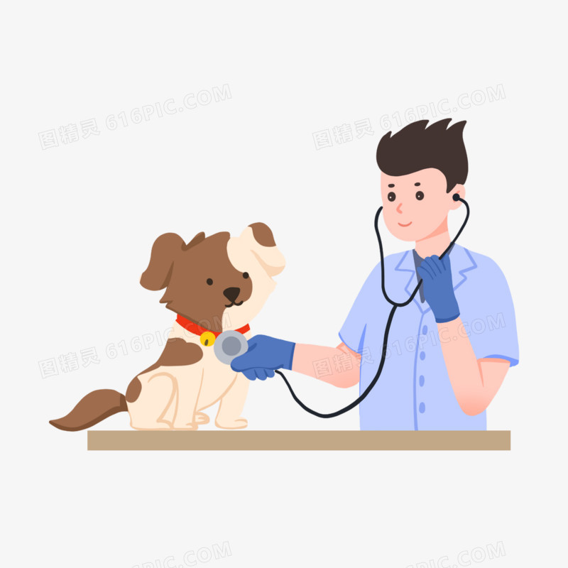 一组宠物医生给小狗宠物看病合集系列三素材