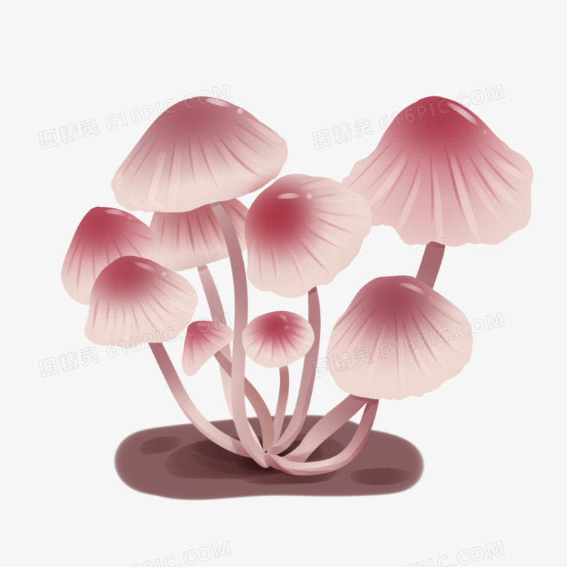 手绘奇幻植物云南毒蘑菇粉红蘑菇元素
