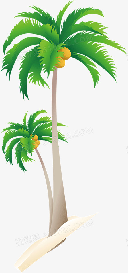 有椰子的椰子树